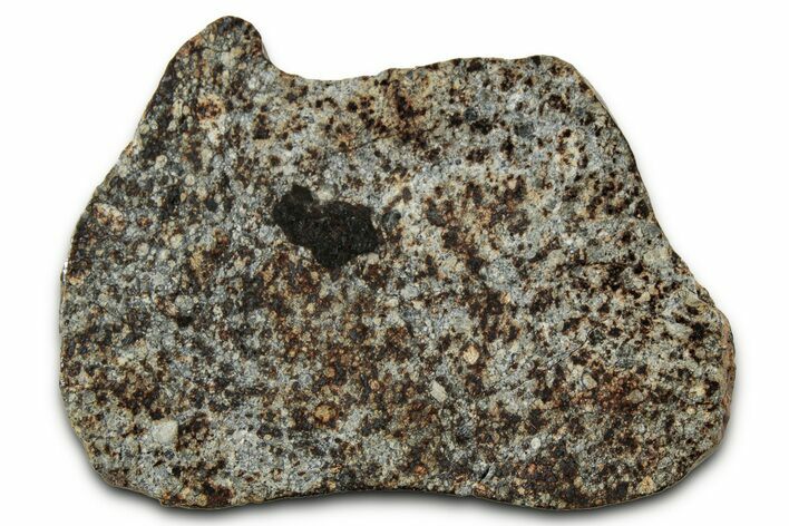Chondrite Meteorite Section ( g) - NWA #347087